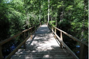 mountain to sea trail