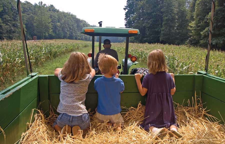 hayride agritourism