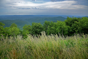 A view from the Blue Ridge Parkway in Western NC.