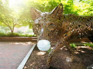 NC State wolf statue wearing face mask COVID-19