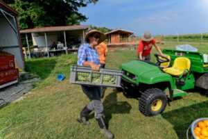 A woman carries a plastic tote full of a green vegetable next to a green four wheeler with farm structures and crops in the background. 